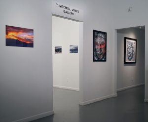 Ricarda Redeker and John Bernhard, FotoFest 2018, installation view Art Car Museum 2018