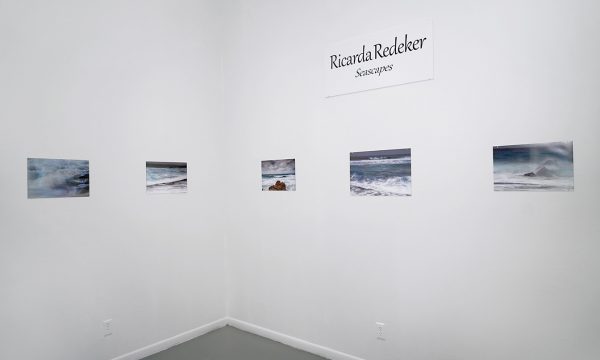 Ricarda Redeker, FotoFest 2018, installation view Art Car Museum 2018
