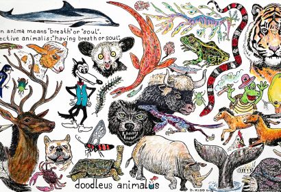 David Kidd, "Doodleus Animalus", 2018